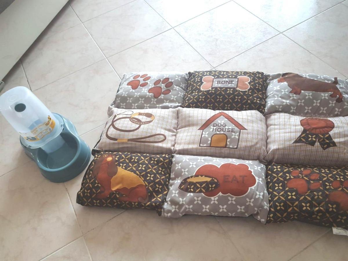 Isotta Guest House Family E Pet Friendly Perugia Zewnętrze zdjęcie